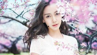 婚礼明星祝福视频素材,明星婚礼祝福视频集锦