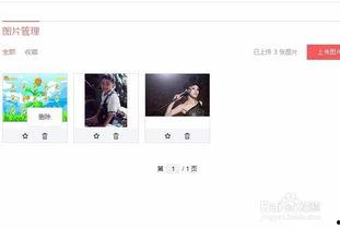 头条赞赏文章怎么发图片,头条赞赏文章图片插入技巧，让你的内容更生动