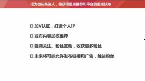 头条写作怎么提高推荐,轻松提升内容推荐率