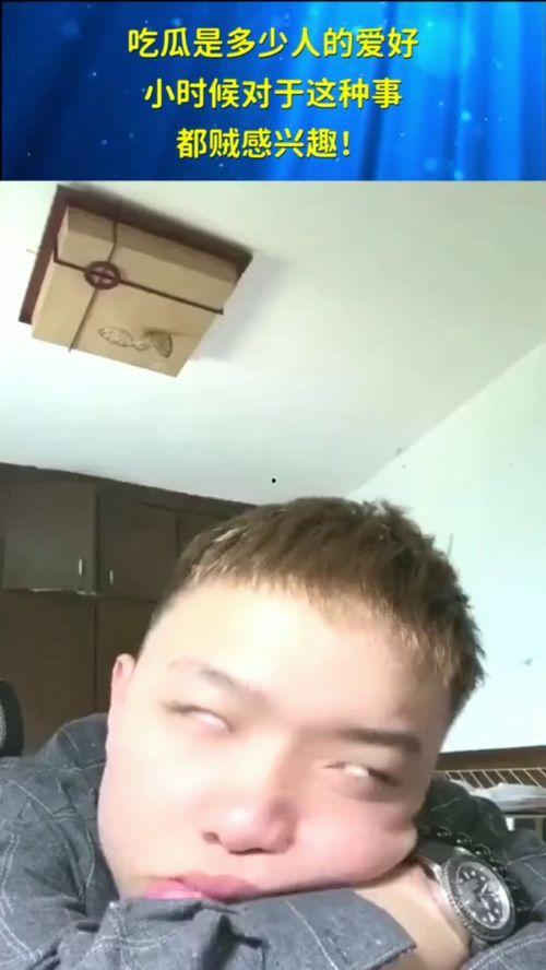 爱好和平的吃瓜,爱好和平的吃瓜日常