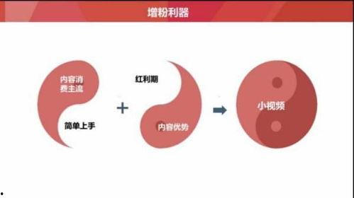 头条已关注的文章在哪,【头条关注文章智能概述】