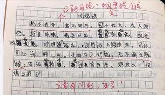 娱乐吃瓜酱仿写,揭秘明星们的幕后故事